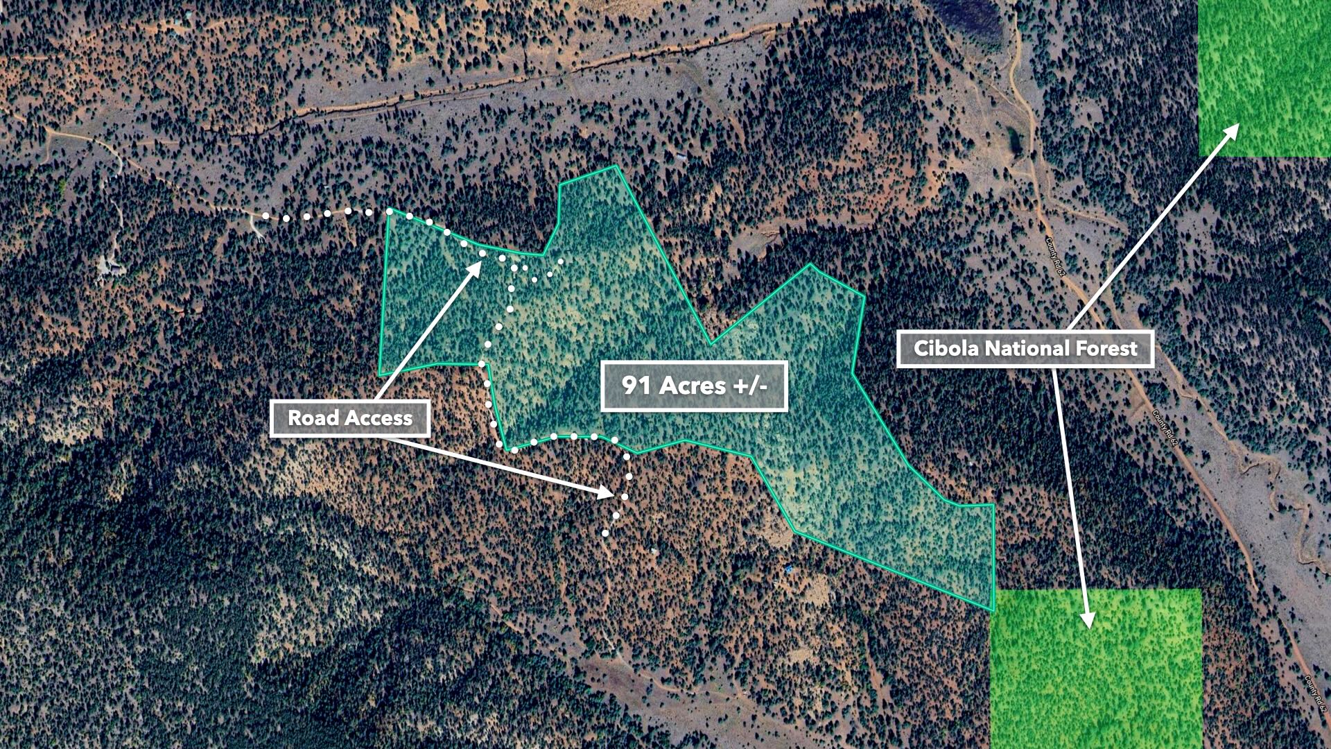Land for Sale in New Mexico • 91 Acres with 3 Tiny Houses