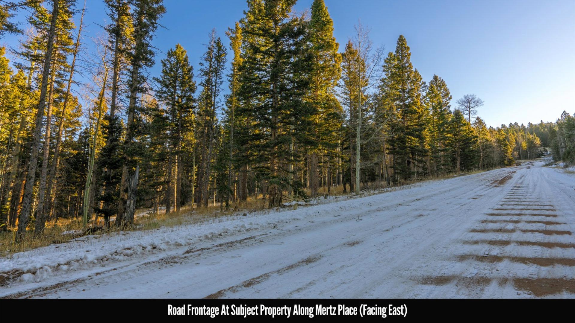 Scrubland NM 伊語 iD-4903EP (iD-4900EP Milford Sound)｜株式会社スミノエ インテリア