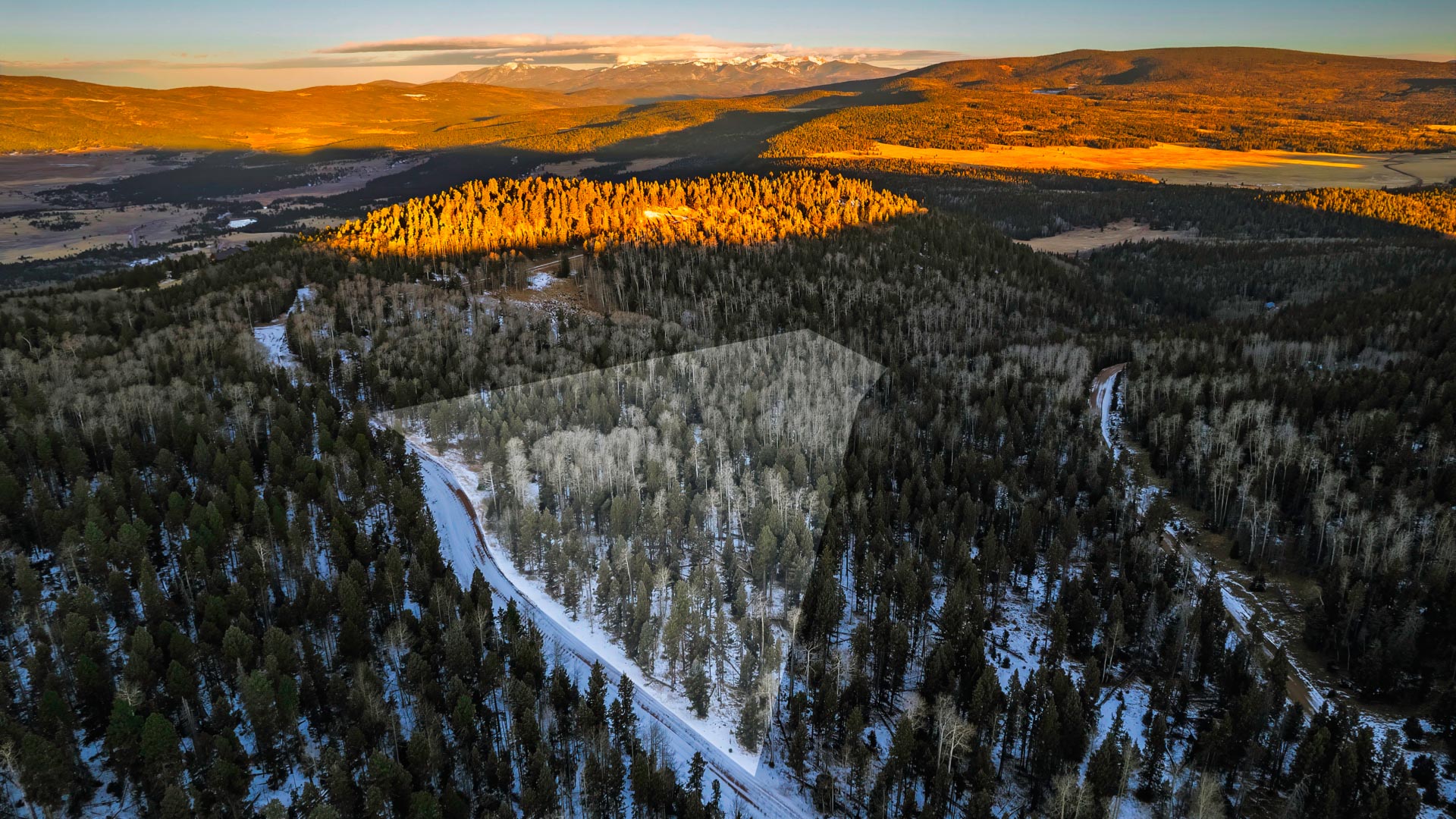 Scrubland NM 伊語 iD4904ep_1.jpg?v=1715243162